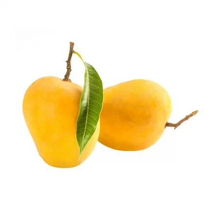organic ratnagiri alphonso mangoes in navi mumbai